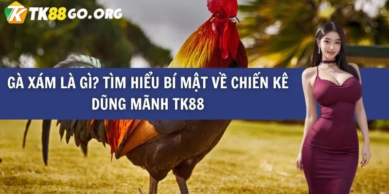 Chơi game trên nền tảng game bài trực tuyến được xếp hạng 789F có an toàn không? - 789F